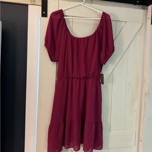 NWT Beautiful chiffon dress